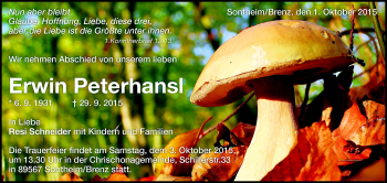 Traueranzeige von Erwin Peterhansl von Heidenheimer Zeitung