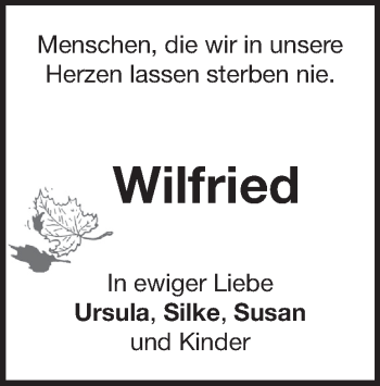 Traueranzeige von Wilfried Stang von Heidenheimer Zeitung