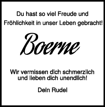 Traueranzeige von Professor Boerne von Heidenheimer Zeitung
