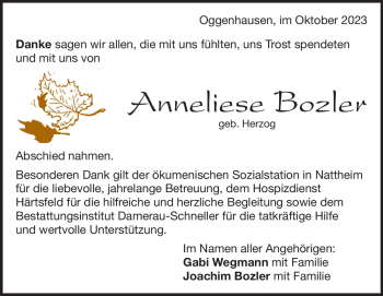 Traueranzeige von Anneliese Bozler von Heidenheimer Zeitung