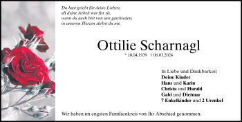 Traueranzeige von Ottilie Scharnagl von Heidenheimer Zeitung