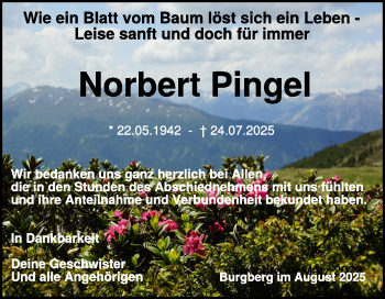 Traueranzeige von Norbert Pingel von Heidenheimer Zeitung