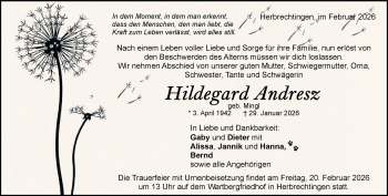 Traueranzeige von Hildegard Andresz von Heidenheimer Zeitung